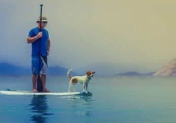 Seniorenmobil-ität, älterer Herr mit Hund auf Paddleboard